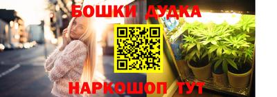 ГАЛЛЮЦИНОГЕННЫЕ ГРИБЫ Северобайкальск