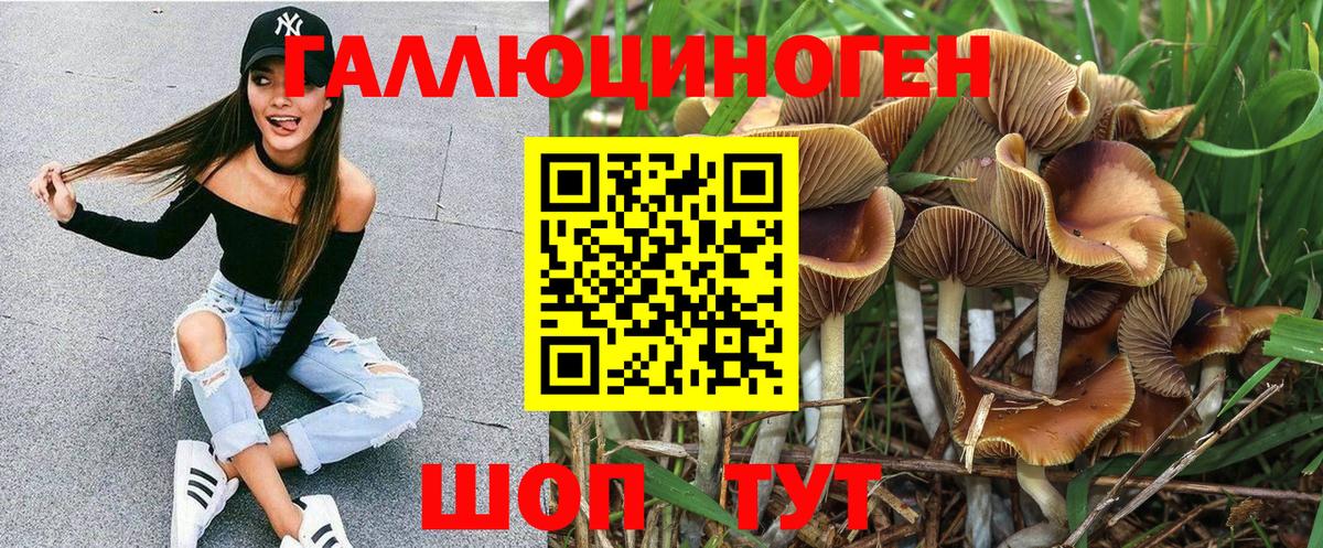 Псилоцибиновые грибы мицелий Славгород